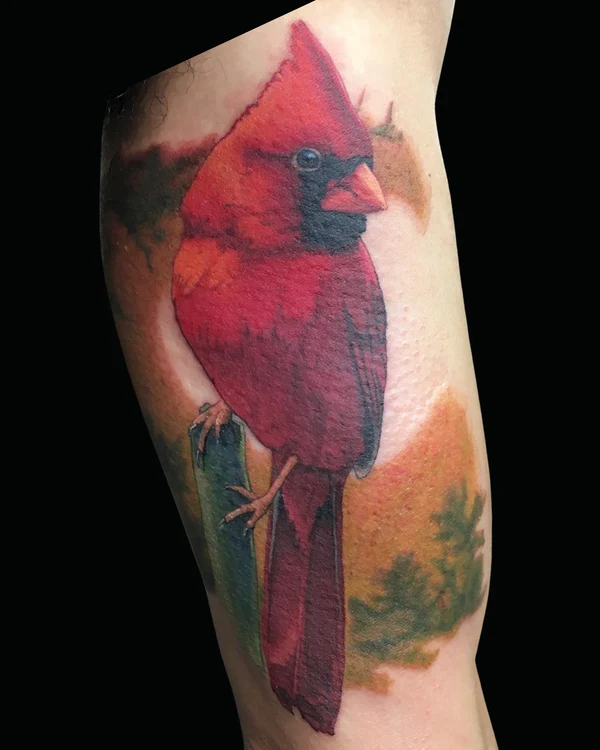 Realistic red cardinal tattoo with a forest background by Brian Pittman