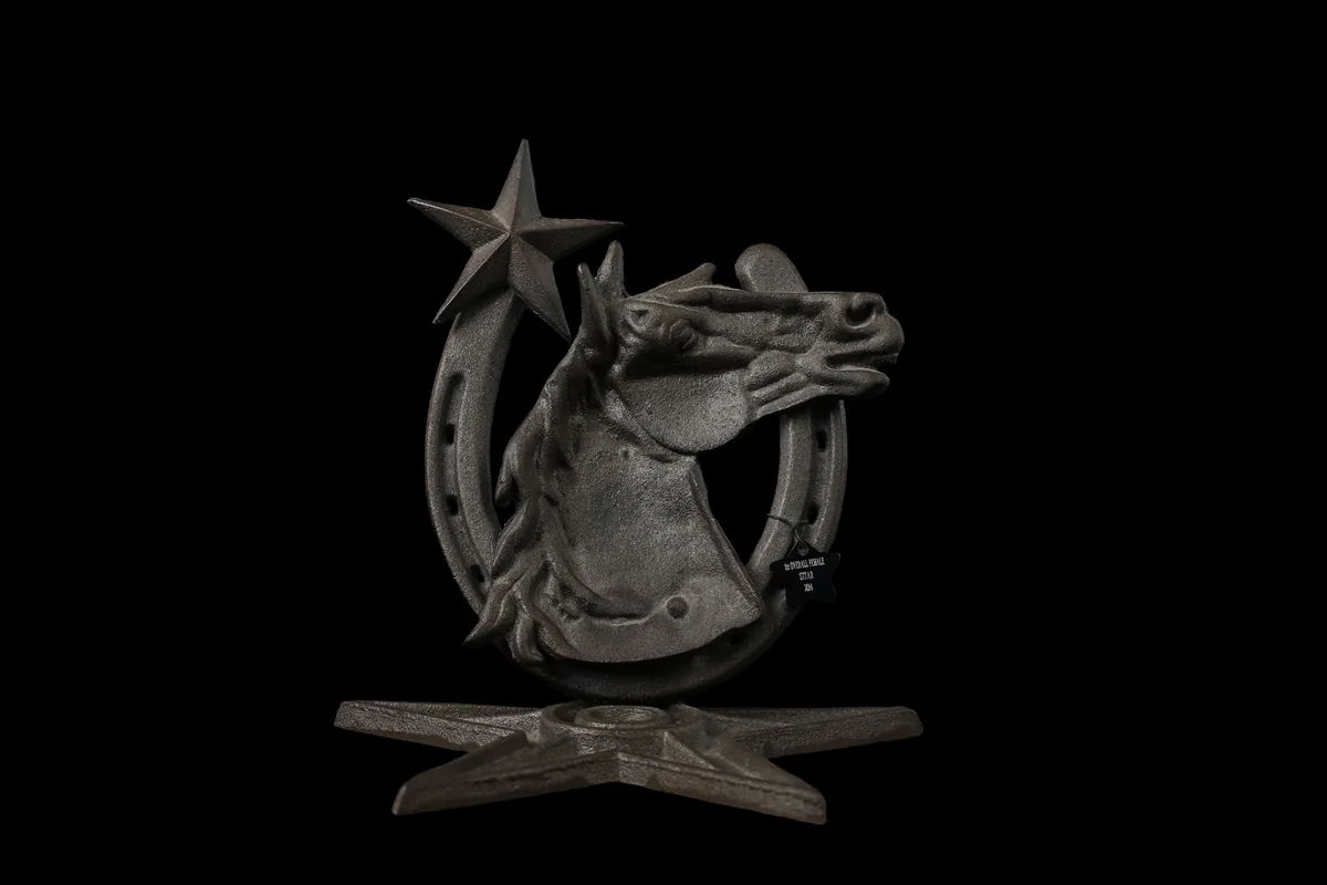1st Place — Overall Female trophy — Star of Texas Tattoo Art Revival, 2014