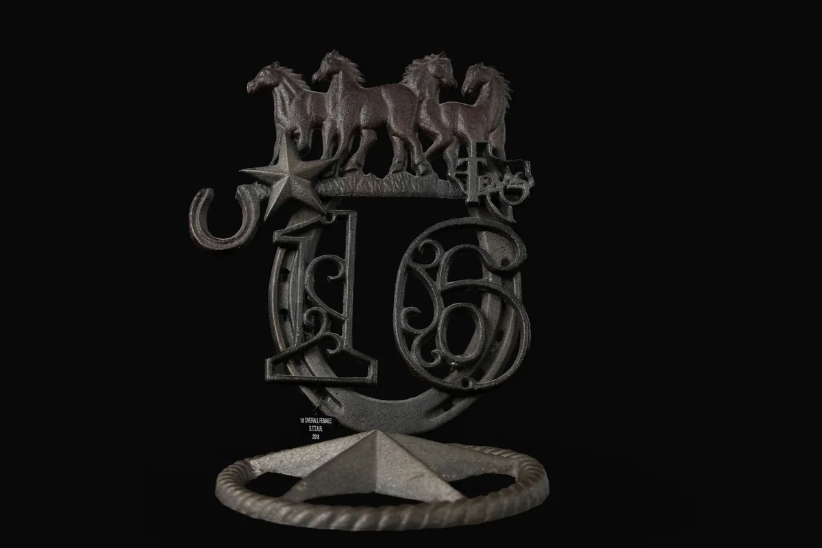 1st Place — Overall Female trophy — Star of Texas Tattoo Art Revival, 2018