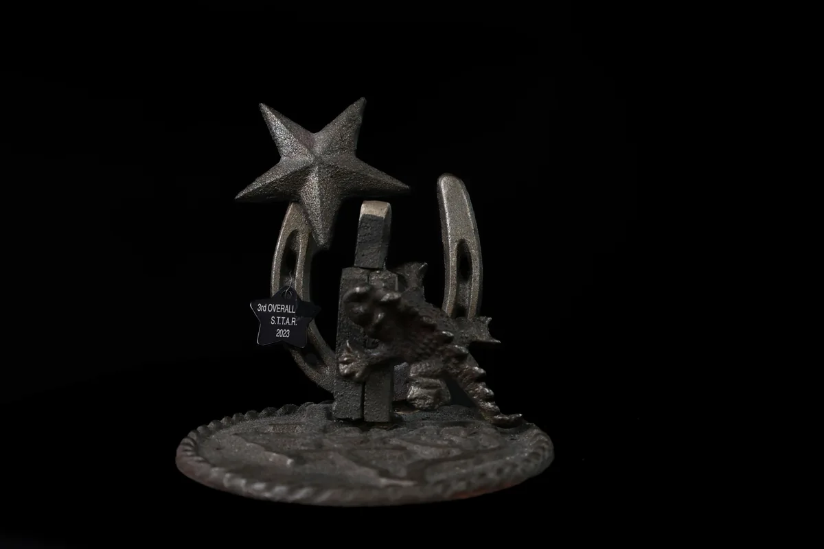 3rd Place — Overall trophy — Star of Texas Tattoo Art Revival, 2023