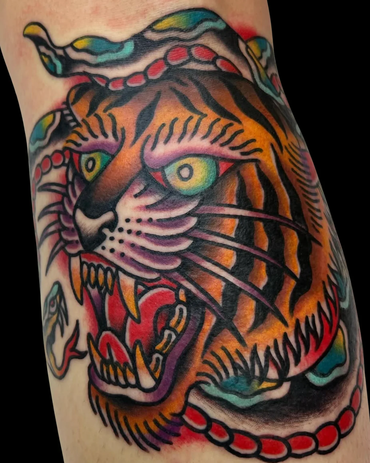 Traditional roaring tiger head tattoo by Chris Harris