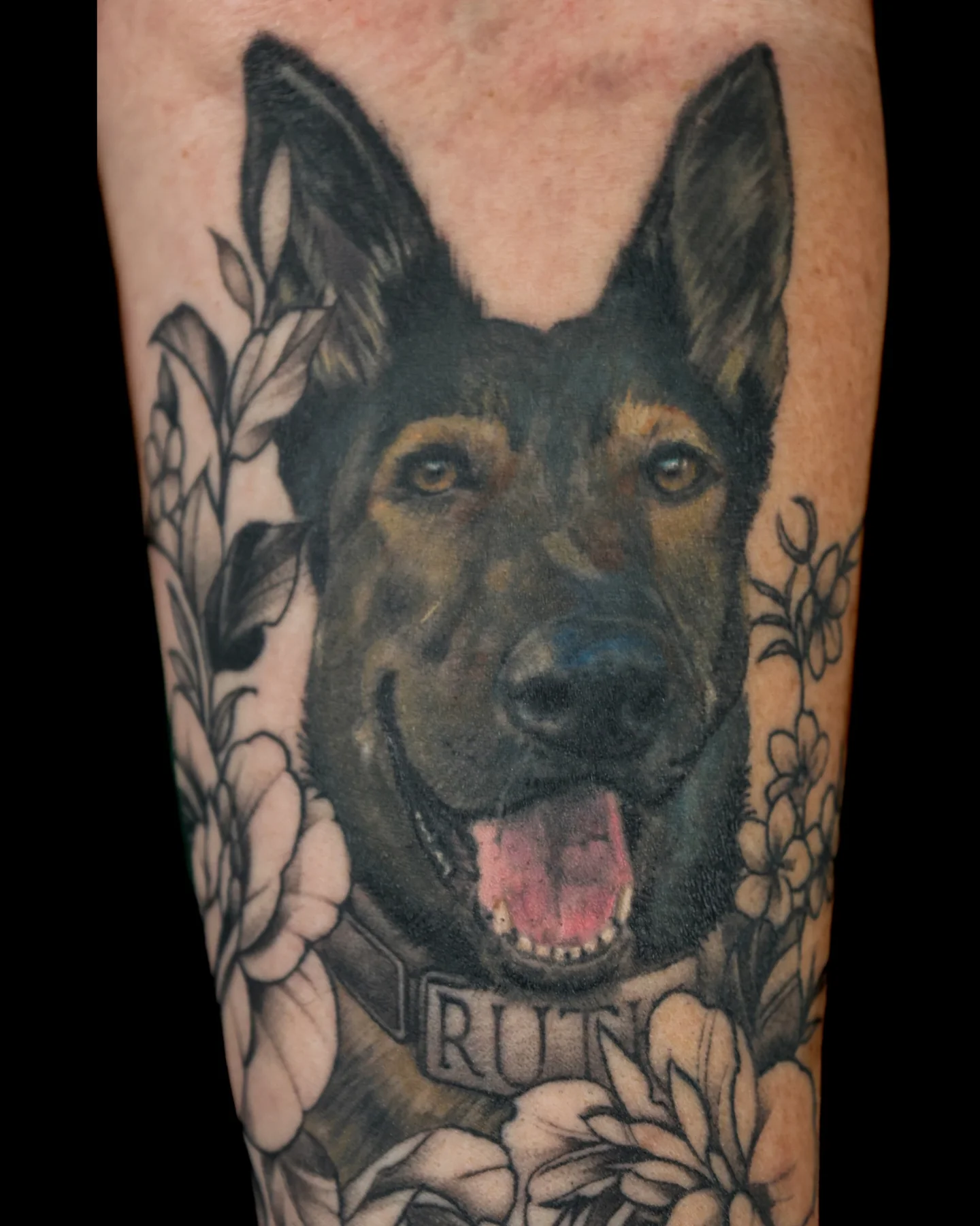 Realistic German shepherd portrait tattoo with flowers by Brian Pittman